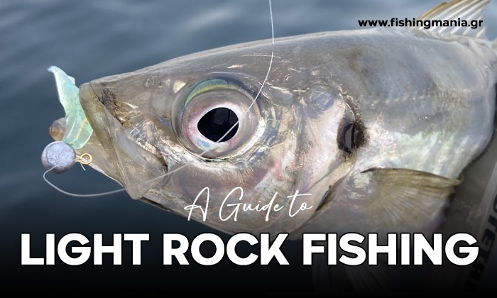 What is LRF ? A Complete Beginner’s Guide