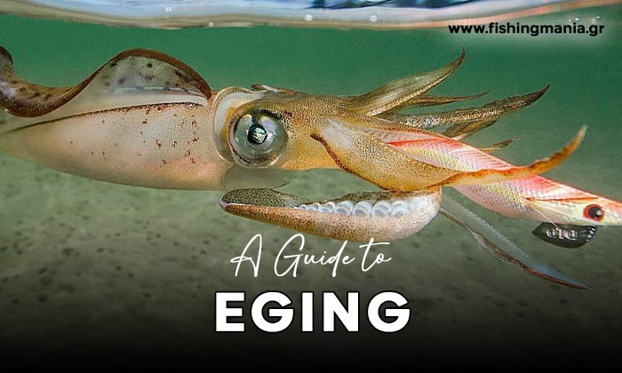 Eging - Ψάρεμα Καλαμαριών & Κεφαλόποδων από την Ακτή Eging - Ψάρεμα Καλαμαριών & Κεφαλόποδων από την Ακτή