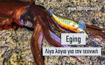 Λίγα λόγια για το Eging