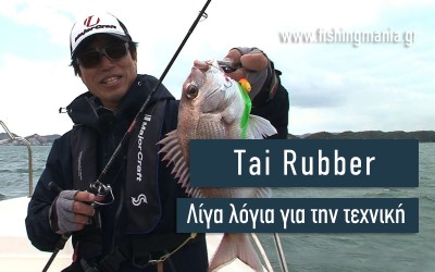 Λίγα λόγια για το Tai Rubber