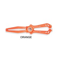 Dress Dino Grip Raptor