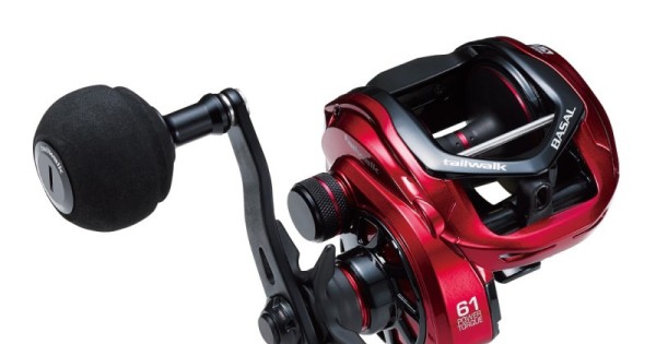 basalvt811-600x315w.jpg