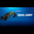 Hayabusa Squid Junky FS-510 #3.0