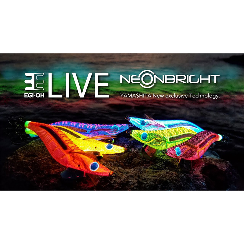 Yamashita Egi OH-Live Neon Bright #3.0