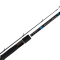 Shimano Bassterra Sea Bass