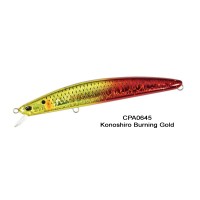 Duo Tide Minnow Ghost 170F Duo Tide Minnow Ghost 170F