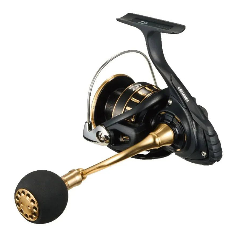 Daiwa BG SW 23