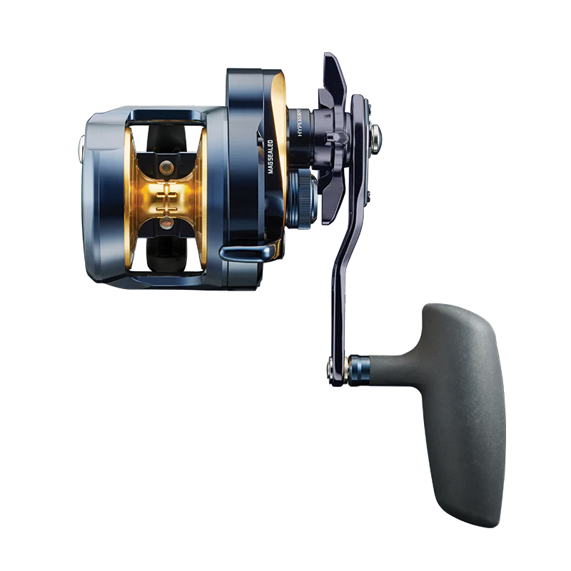 Daiwa 24 Saltiga 15