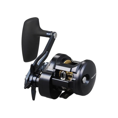 Daiwa Saltiga 25 300H