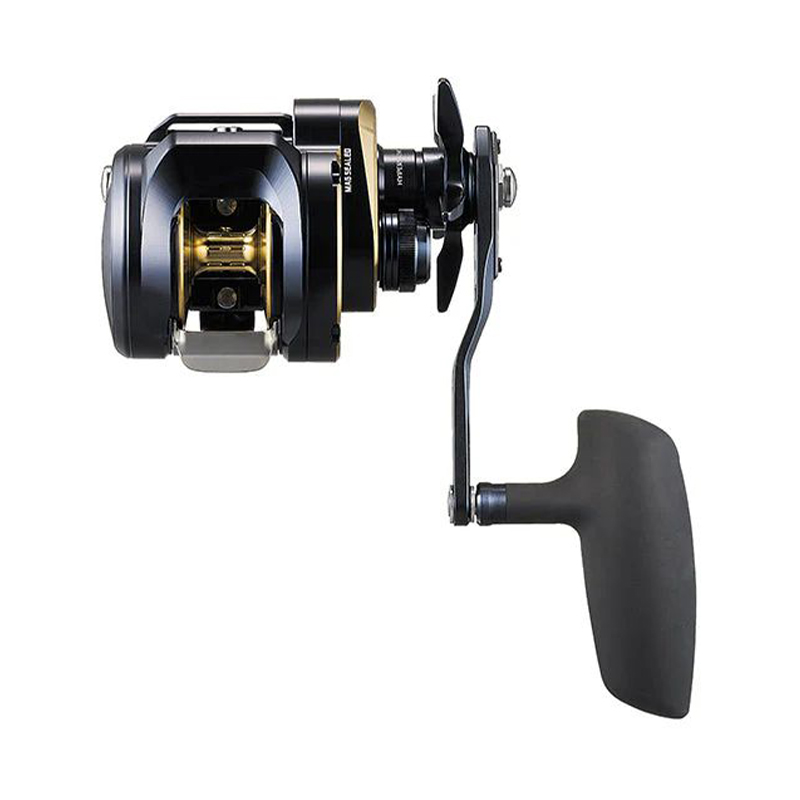 Daiwa Saltiga 25 300H
