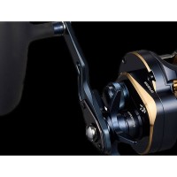 Daiwa Saltiga 25 300H Daiwa Saltiga 25 300H
