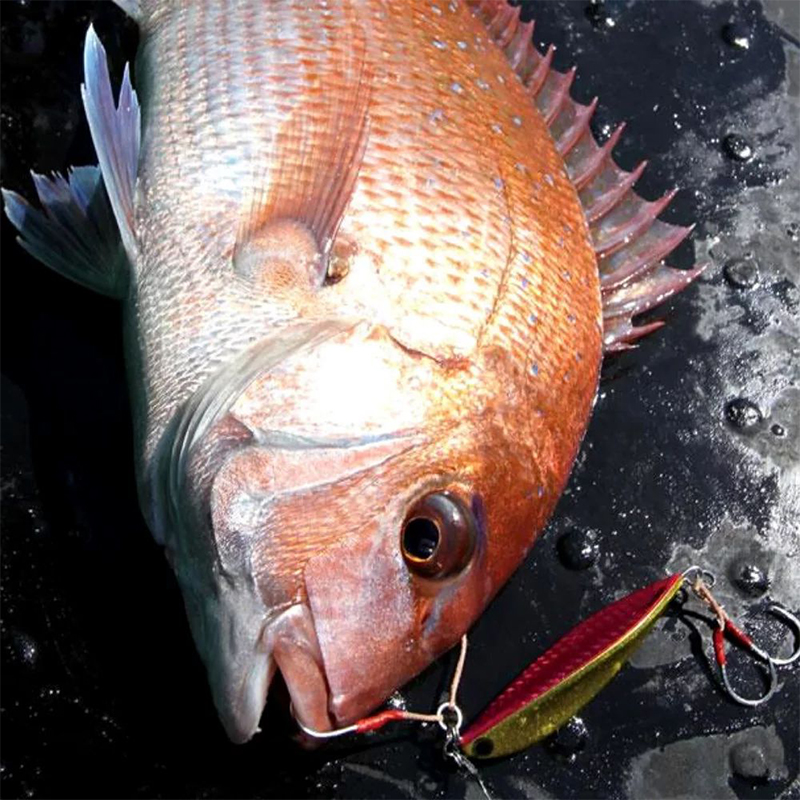 Tackle House Tai Jig 150g Tackle House Tai Jig 150g