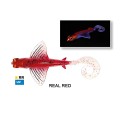 JLC Fly 175 150g JLC Fly 175 150g