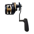 Daiwa Saltiga 25 (G) 35