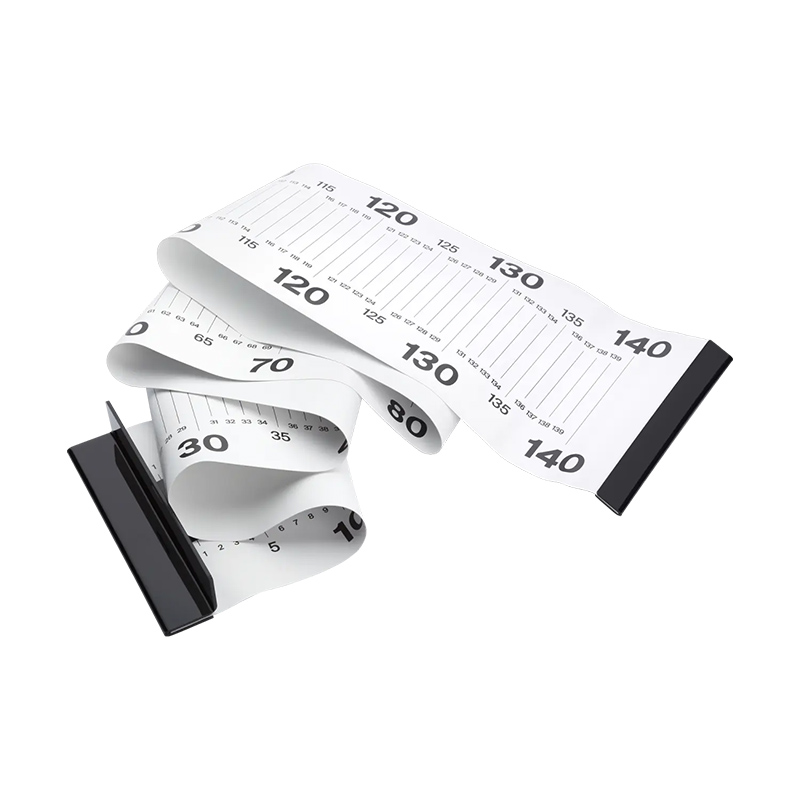 Size Matters Fish Ruler