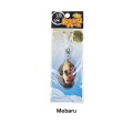 Kawachi Osakana Charm