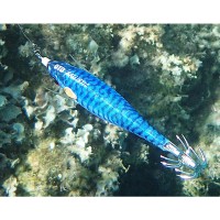 DTD Ballistic Real Fish Bukva #3.0