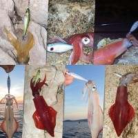 DTD Ballistic Real Fish Bukva #3.0