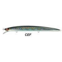 Seaspin Mommotti 180 SF