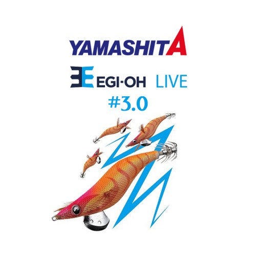 Yamashita Egi OH-Live #3.0