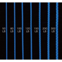 Shout Assist Blue PE Line 426-AP